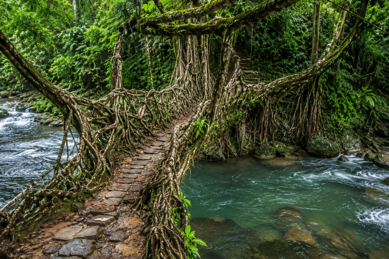 Meghalaya tourism, Northeast India