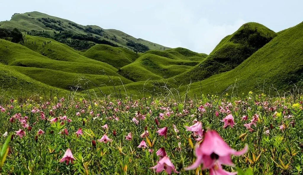 Dzukou Valley, Nagaland Travel