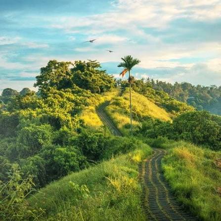Jampui Hills, Tripura Travel
