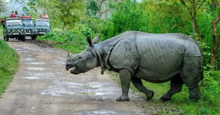 Pobitora Wildlife Sanctuary, Assam Travel