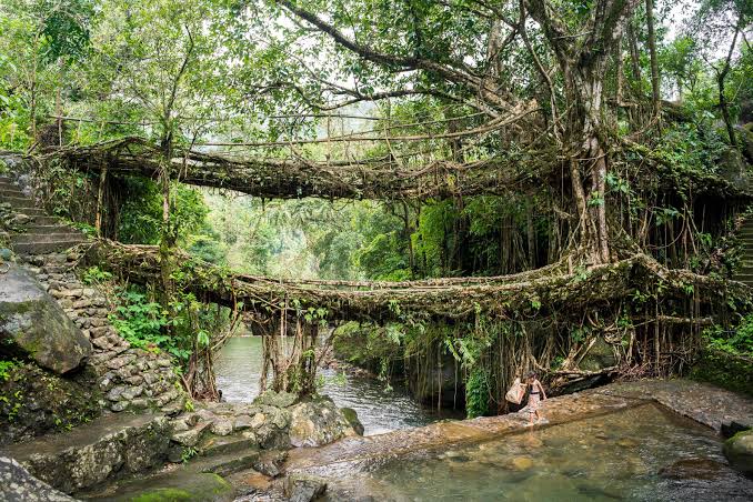 Nongriat & Double Decker Root Bridge, Meghalaya Travel