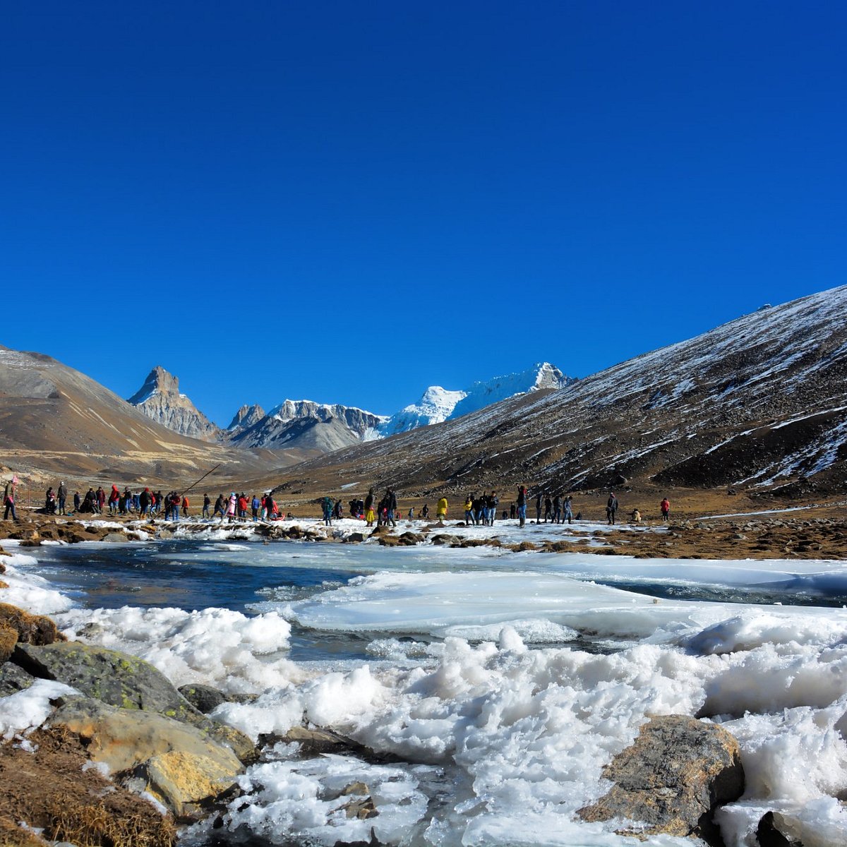 Yumthang Valley & Zero Point, Sikkim Travel